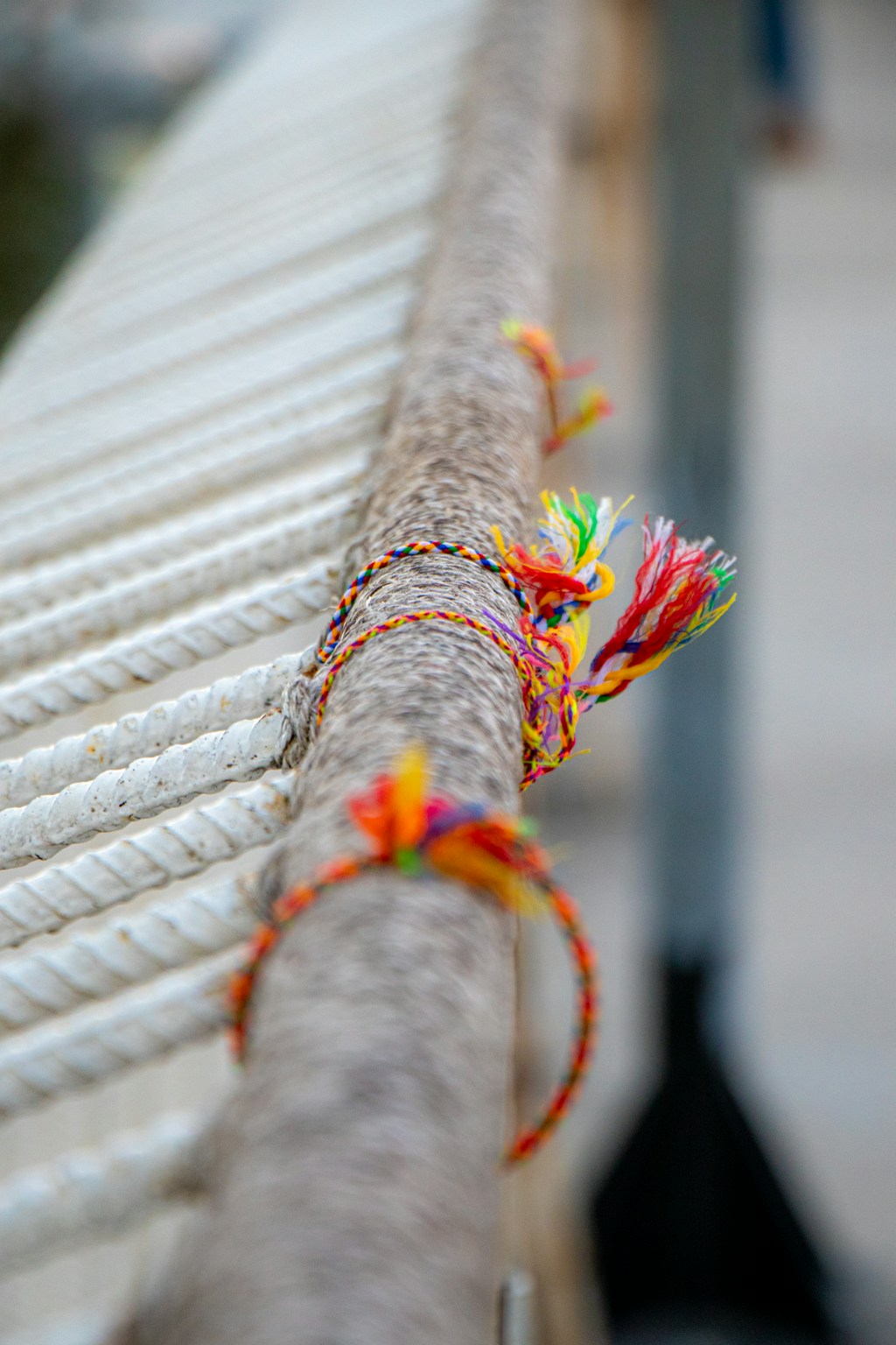 Mauli Roll (Red)